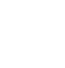 DigitBridge | Solutions