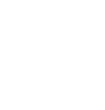 DigitBridge | Solutions