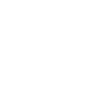 DigitBridge | Solutions