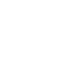 DigitBridge | Solutions